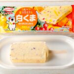 「丸永製菓　フルーツ盛りだくさん白くまバー」税込み173円