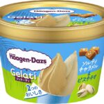 「ハーゲンダッツ ミニカップ Gelati『ソルティキャラメル＆ピスタチオ』」イメージ