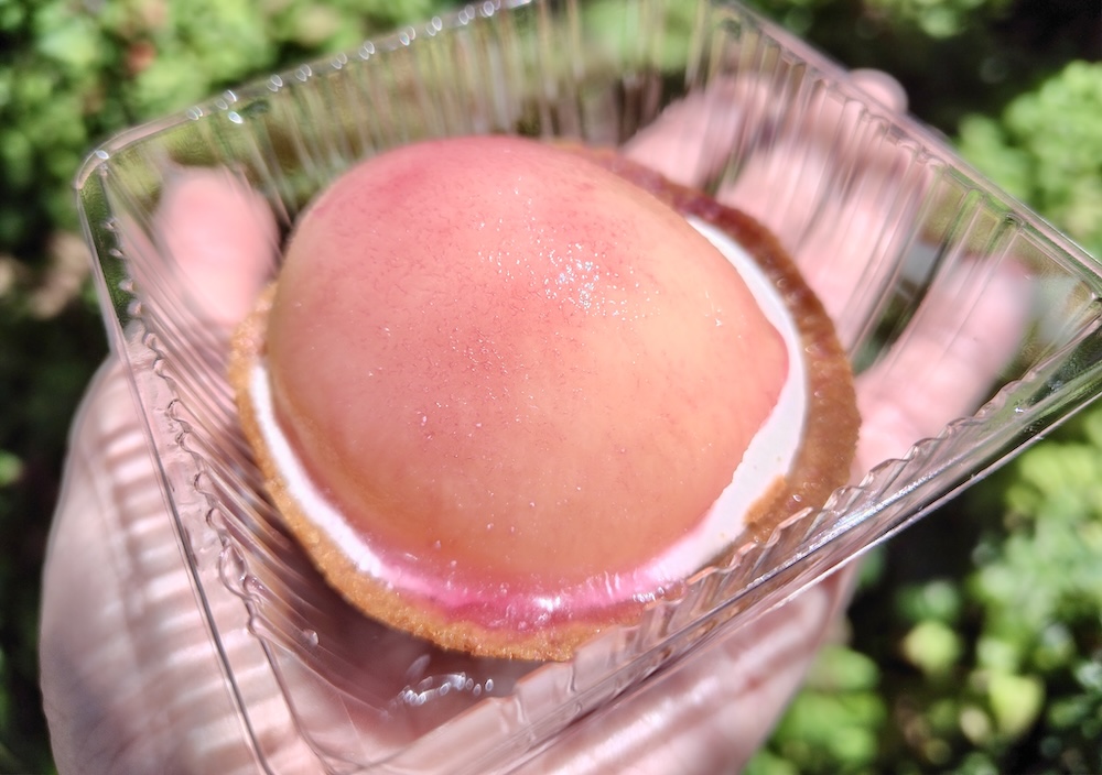 「ごろっと1/2個分！桃のタルト」イメージ