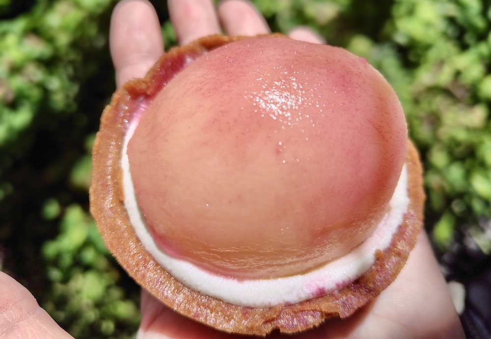 「ごろっと1/2個分！桃のタルト」イメージ