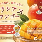 「Apple Mango~ひと夏でめぐるマンゴーデザート~」イメージ