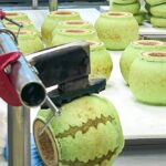 「すいかバウム」イメージ