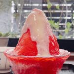 8月21日〜9月2日に販売される「登泉堂」の「あまおうミルク」税込み2,530円