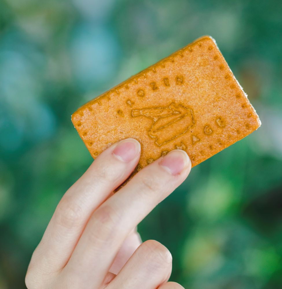 「フローズンフロマージュ」5個入りかつジャム付き・税込み3,200円