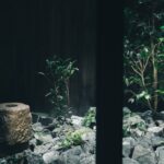「ノン・ティーセレモニー 東山」イメージ Photo: Misa Kawara