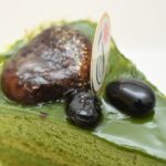 「不二家の濃い抹茶ケーキ（鹿児島県産抹茶使用）」イメージ