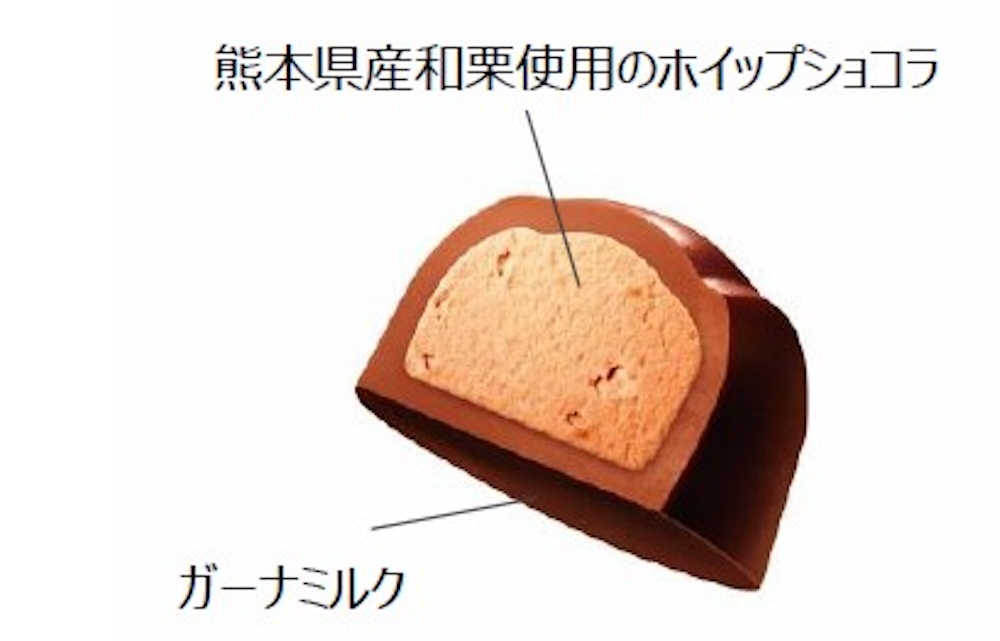 「プレミアムガーナ モンブランショコラ<和栗>」イメージ