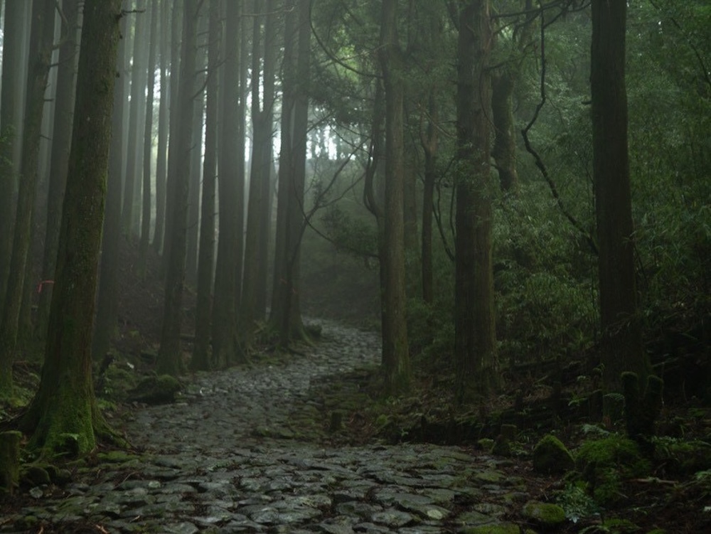 「箱根ときのみ」イメージ