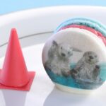 「海を巡るアフタヌーンティー ~鳥羽水族館×シェラトン都ホテル大阪~」イメージ