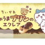 「むちゃうまプリンのエクレア」イメージ