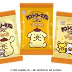 「カントリーマアム（プリン味）」イメージ