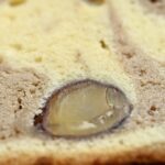 「マロンパウンドケーキ」イメージ