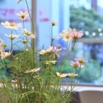 「ドロップコーヒーロースターズ 中野店」イメージ