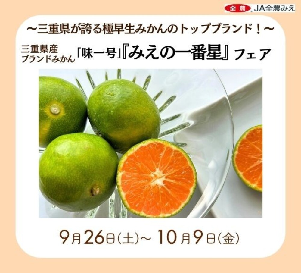 みのるダイニング名古屋店で三重県産みかん「味一号『みえの一番星』フェア」開催