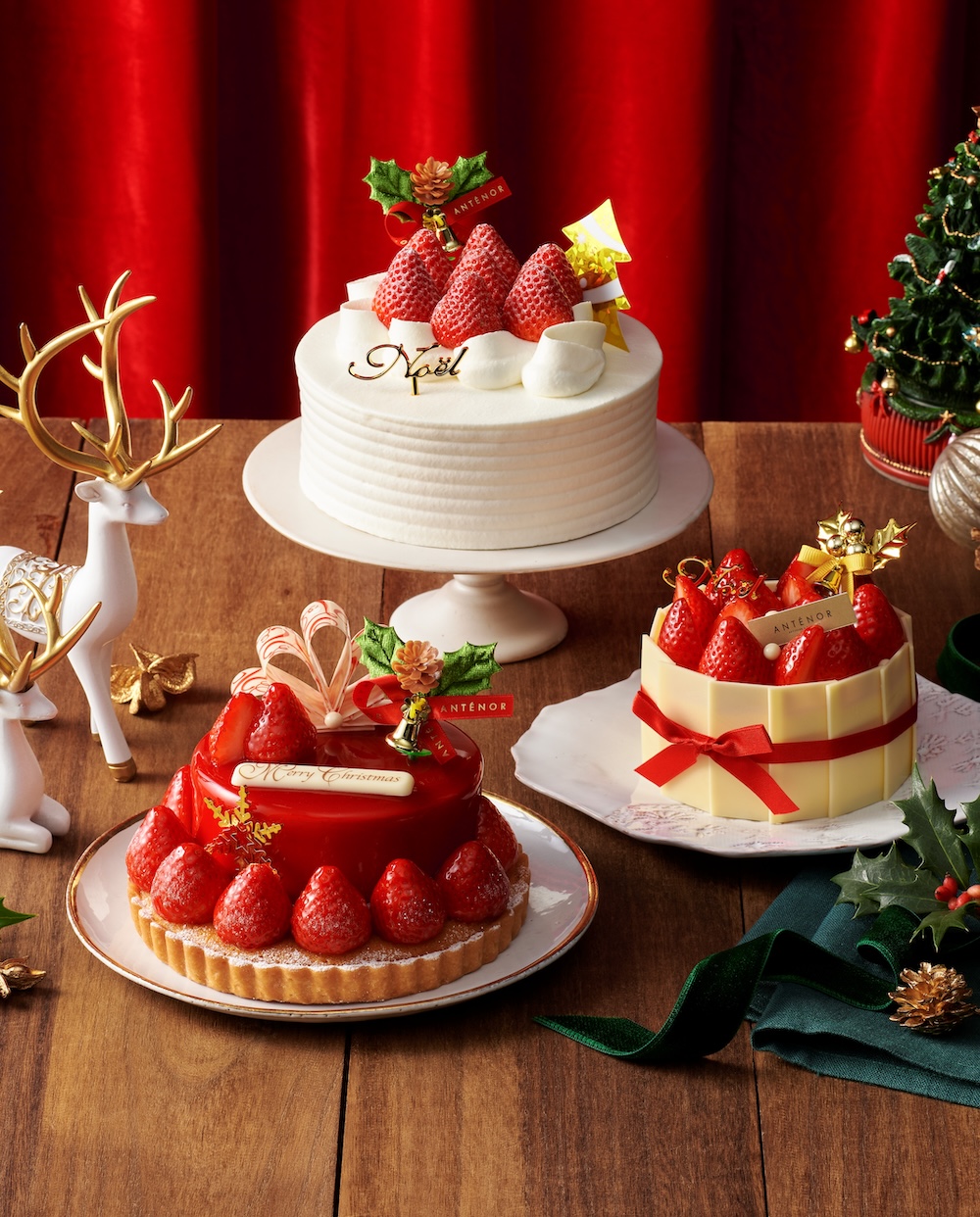「アンテノール」2026年クリスマスケーキのイメージ