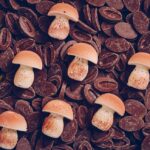 「Chocolate Lover Forest ～チョコラブ～」イメージ