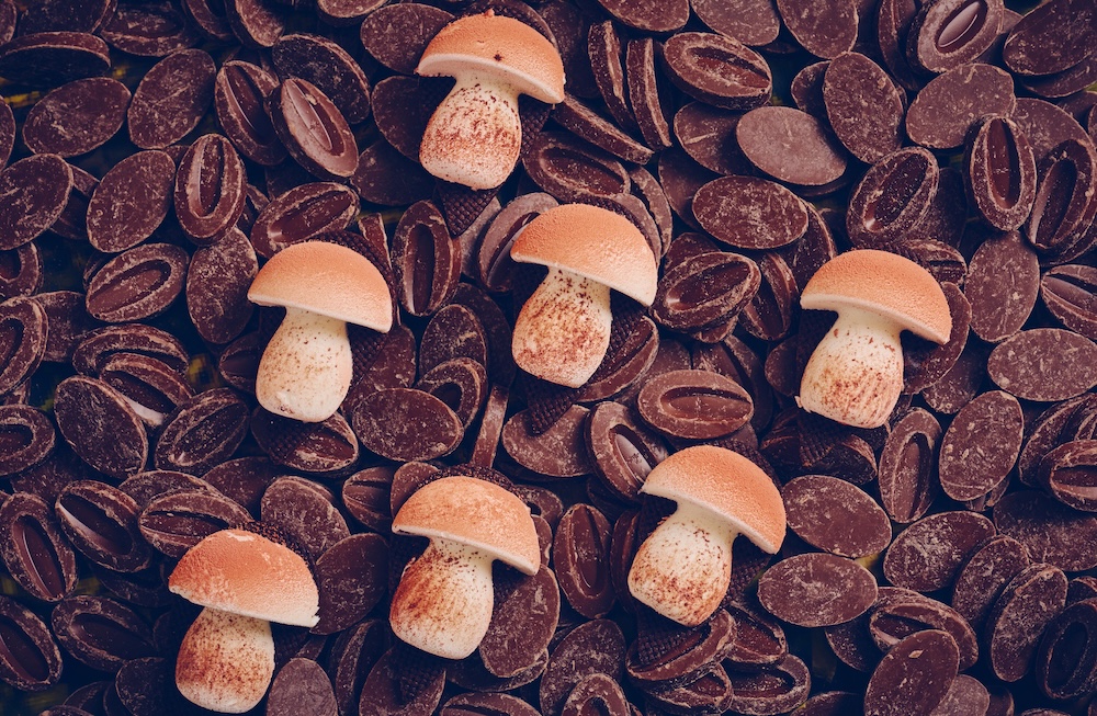 「Chocolate Lover Forest ～チョコラブ～」イメージ