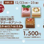 「PLANT」2026年クリスマスケーキのイメージ