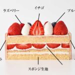 「ノエル フレーズ」断面イメージ