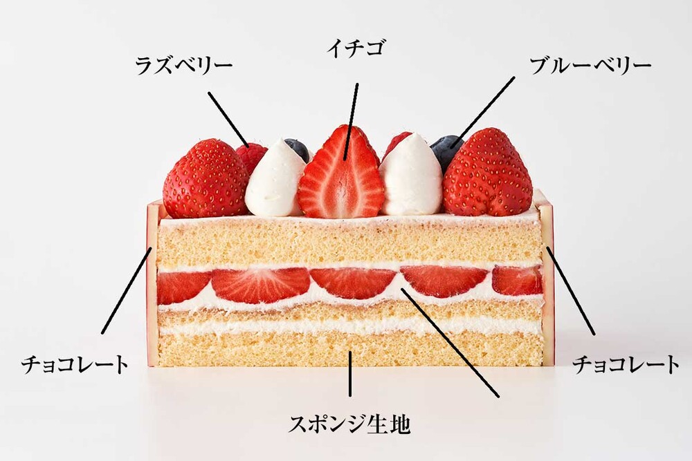「ノエル フレーズ」断面イメージ