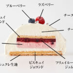 「ノエル フロマージュ」断面イメージ