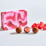 「ショコラ・コキーユ FRAMBOISE」各種6粒入り・税込み4,320円