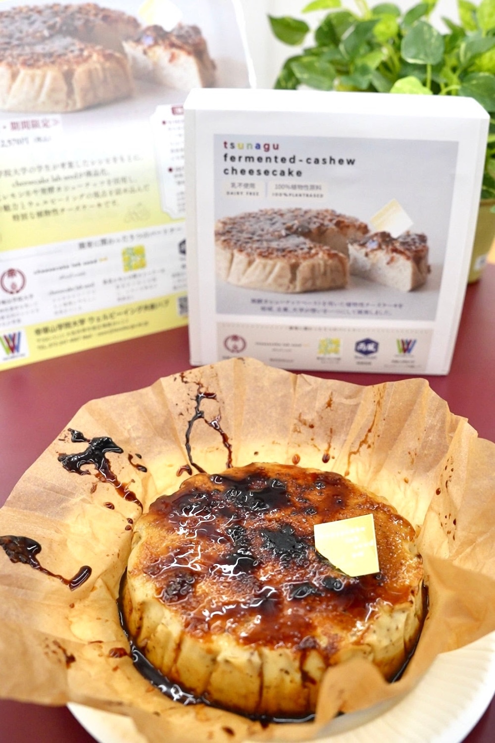 「tsunagu 発酵カシューチーズケーキ」イメージ